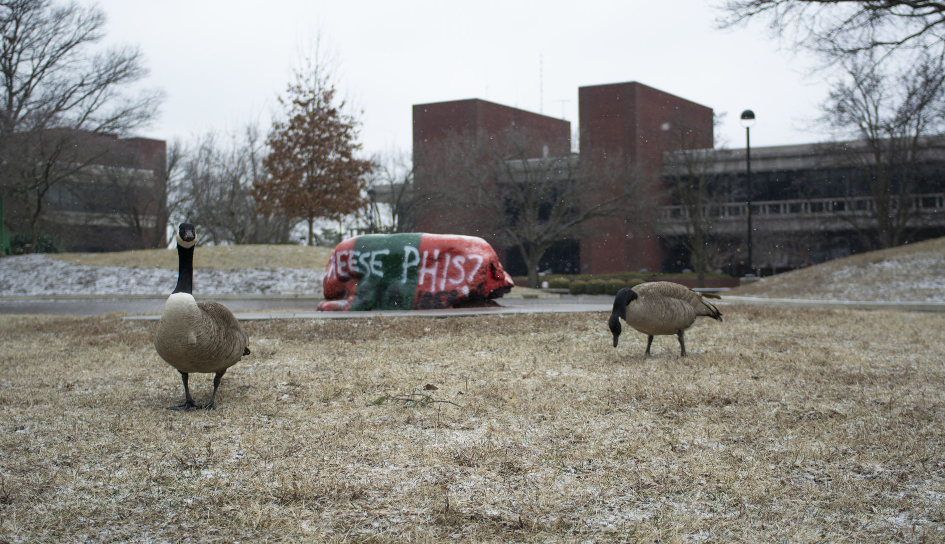 This week on campus: March 6th